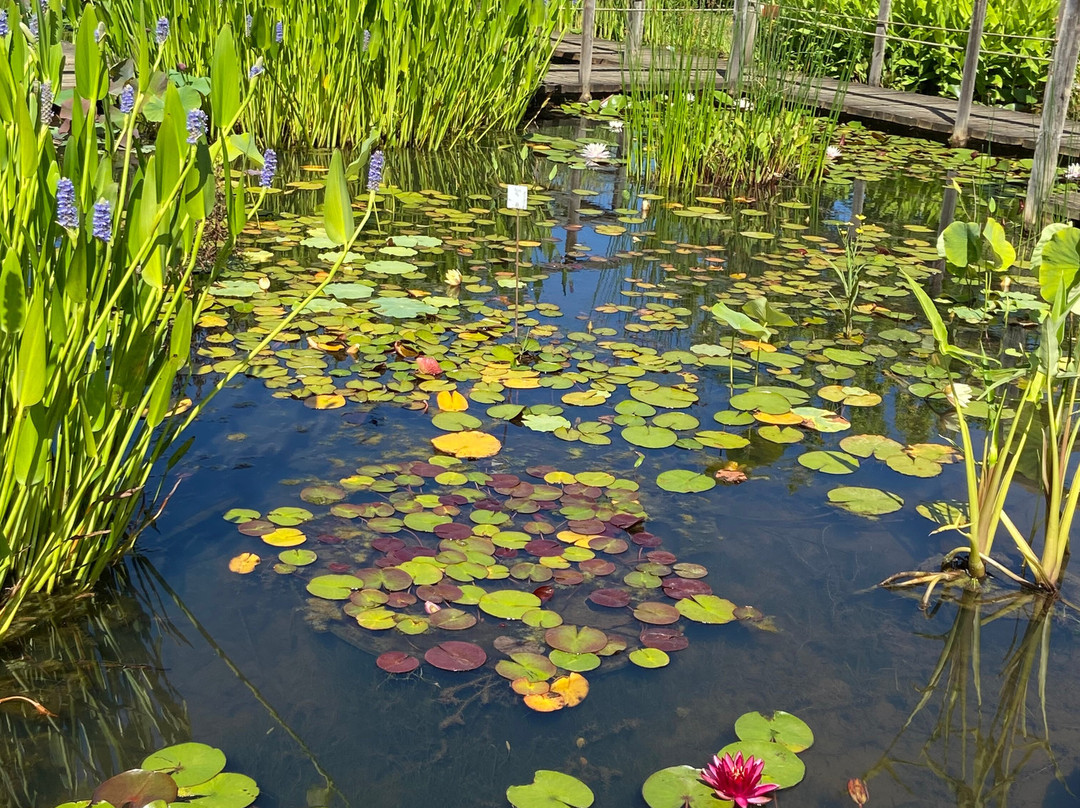 Les Jardins D'eau-Carsac-Aillac必去景点