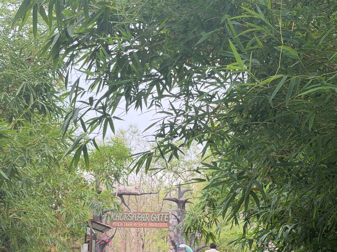 潘趣丛林营地酒店主图