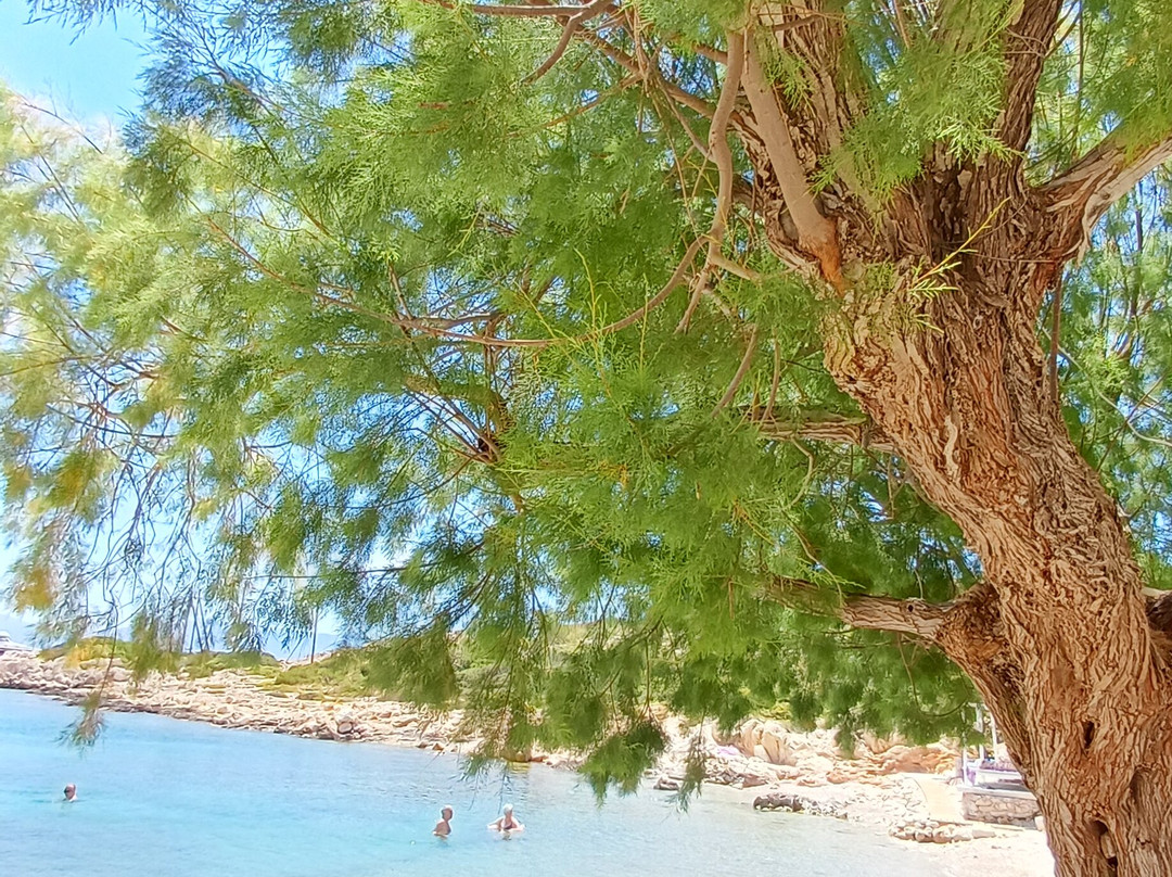 Kania Beach-Halki必去景点
