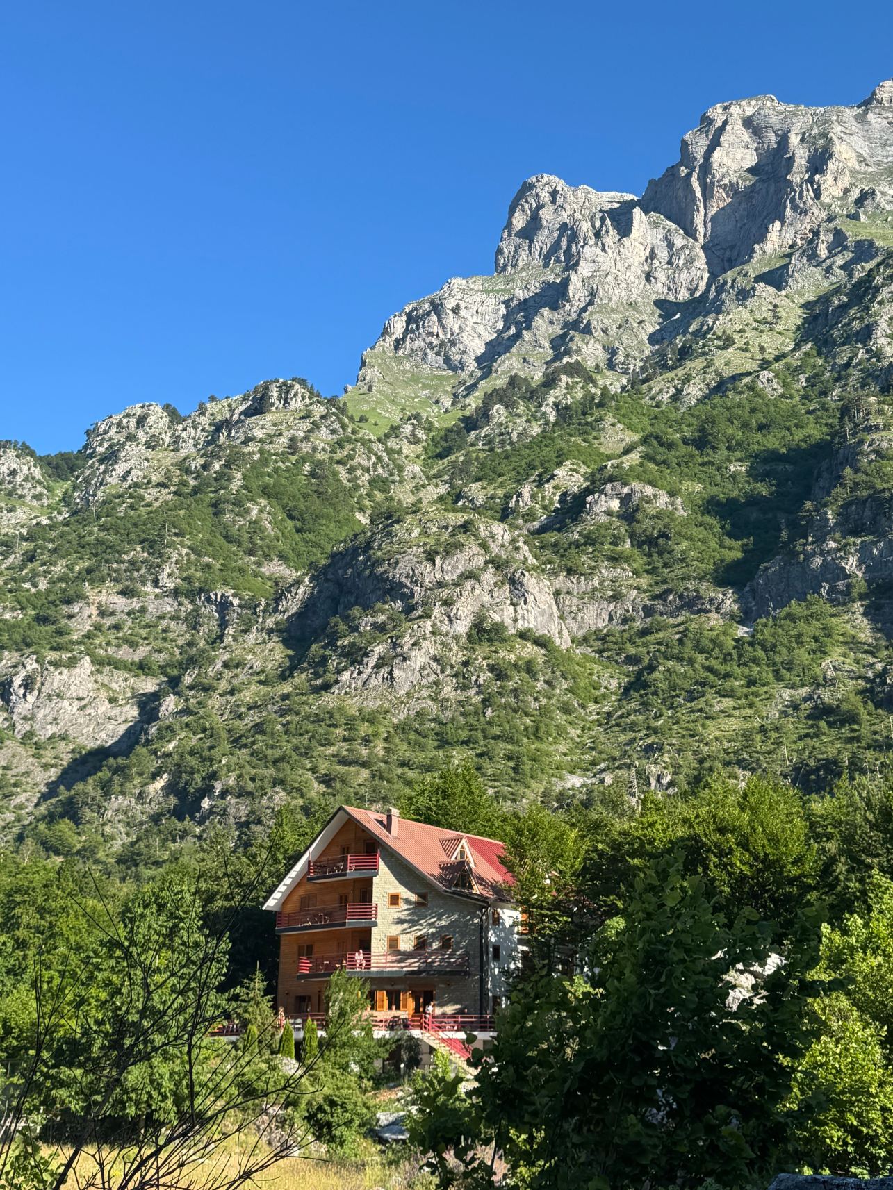 Villa Dini-旅行者