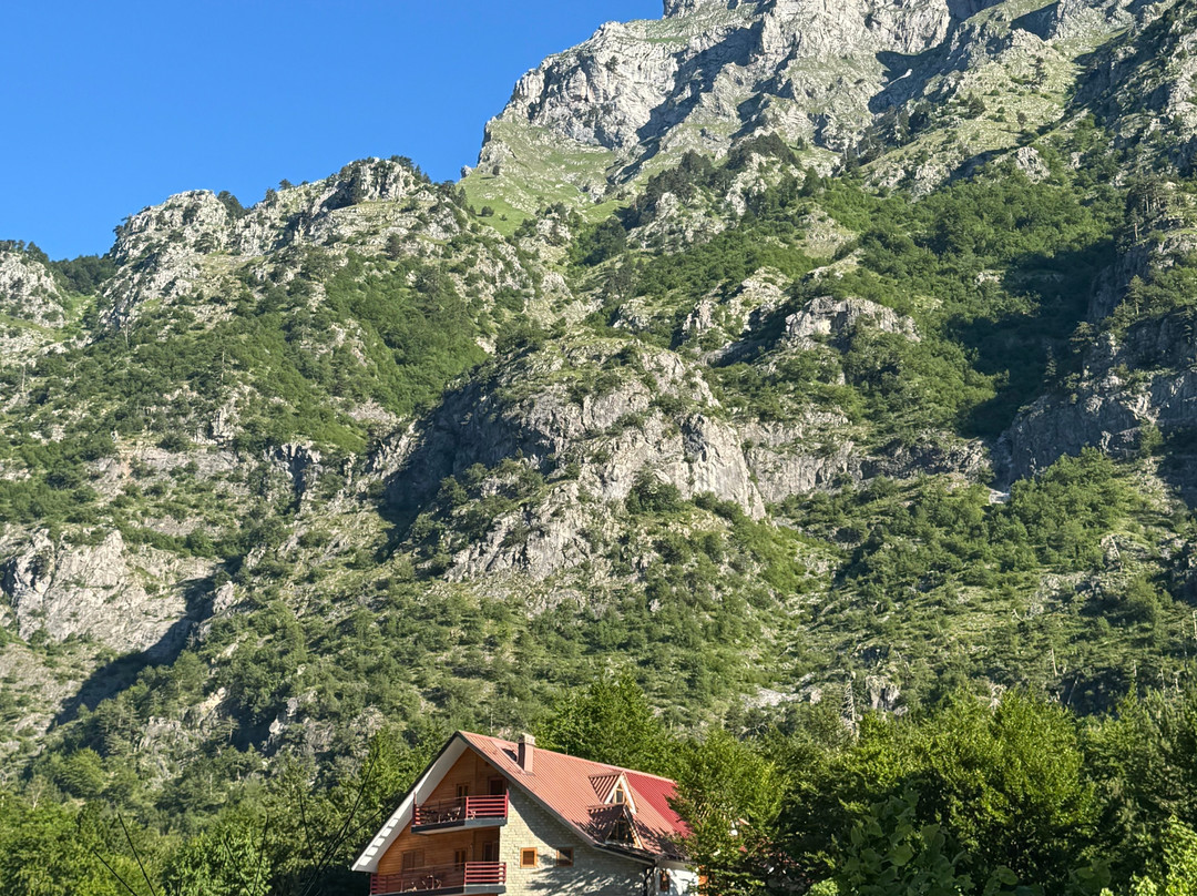 Villa Dini主图