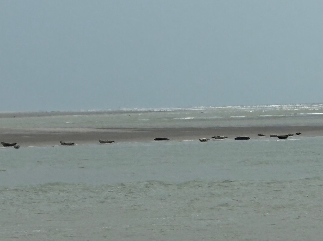 Point de vue Baie d'Authie-Berck必去景点