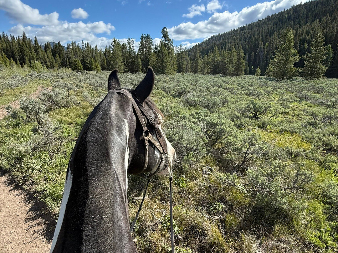 Swift Creek Outfitters & Teton Horseback Adventures-莫兰必去景点