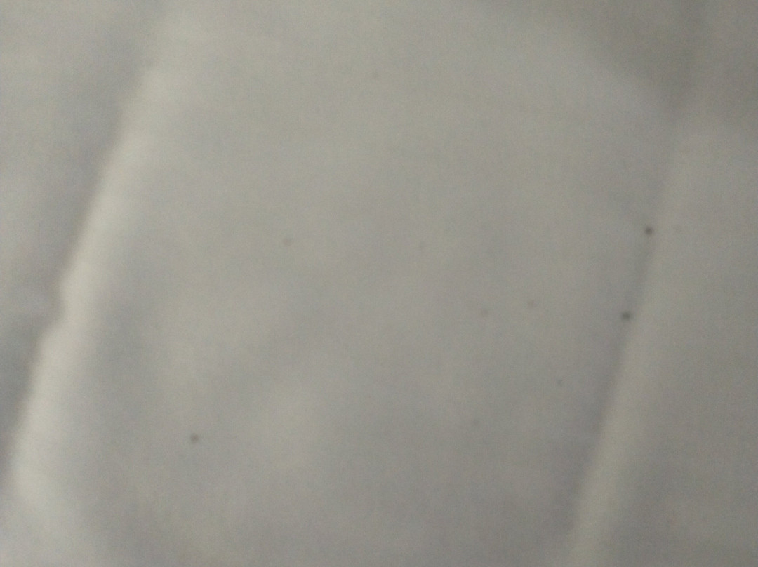康威拉昆塔温德姆套房酒店主图