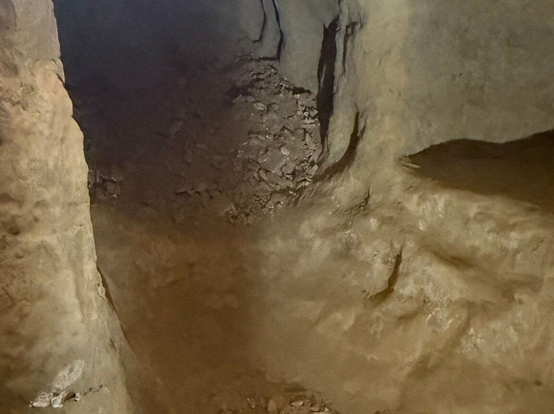 Museo Contrada Priora della Civetta-锡耶纳必去景点