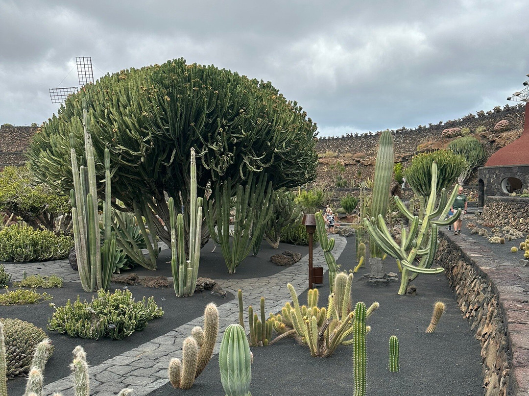 Jardin de Cactus-Guatiza必去景点