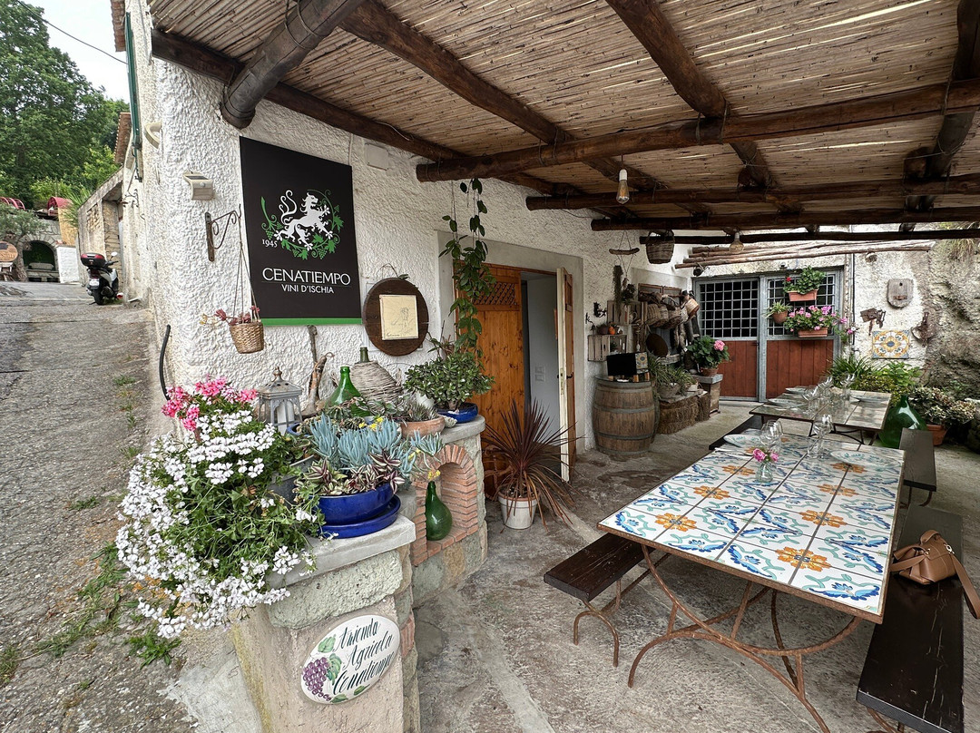 Vini Cenatiempo Ischia-伊斯基亚必去景点