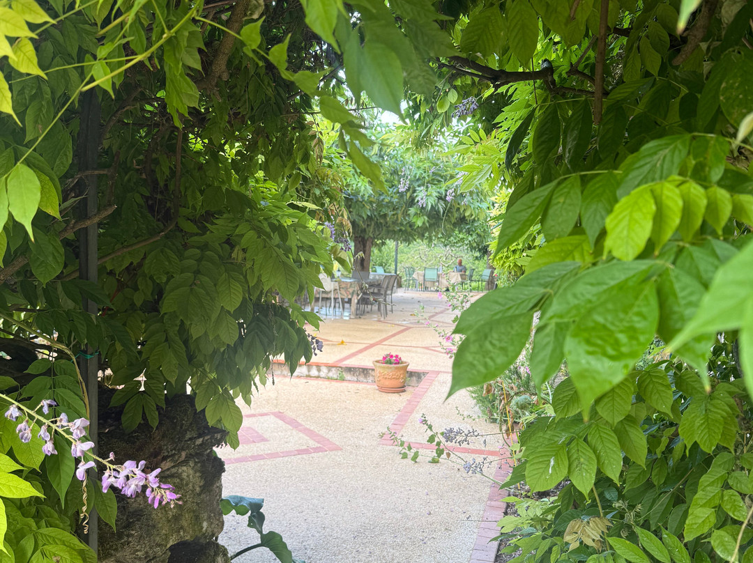 苔米尔城堡庄园住宿加早餐酒店主图