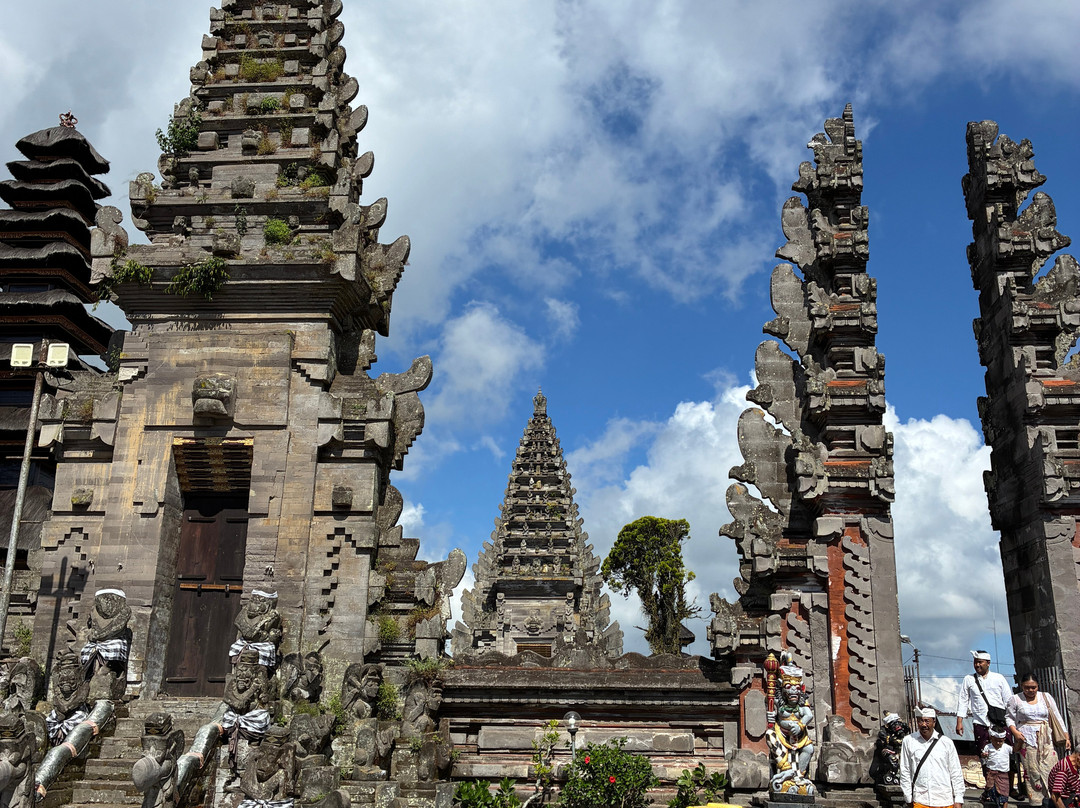 Best Ubud Driver-乌布必去景点