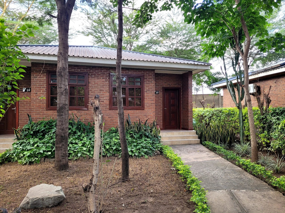 吉力马札罗机场植物园旅馆主图