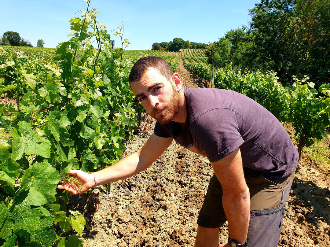 Domaine Galy