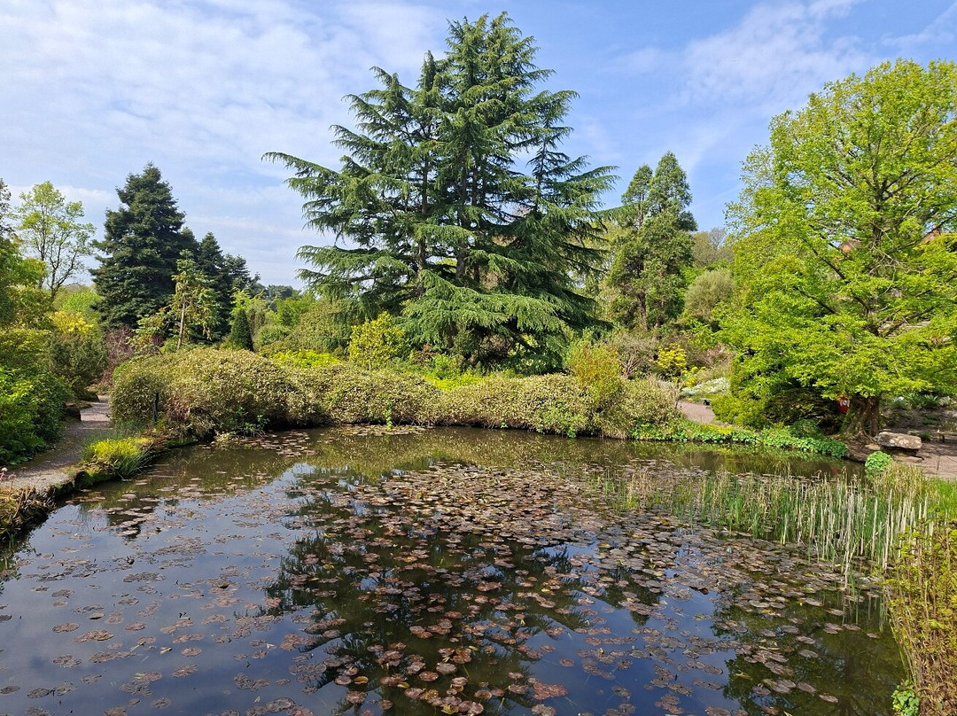 Ness Botanic Gardens-Ness必去景点