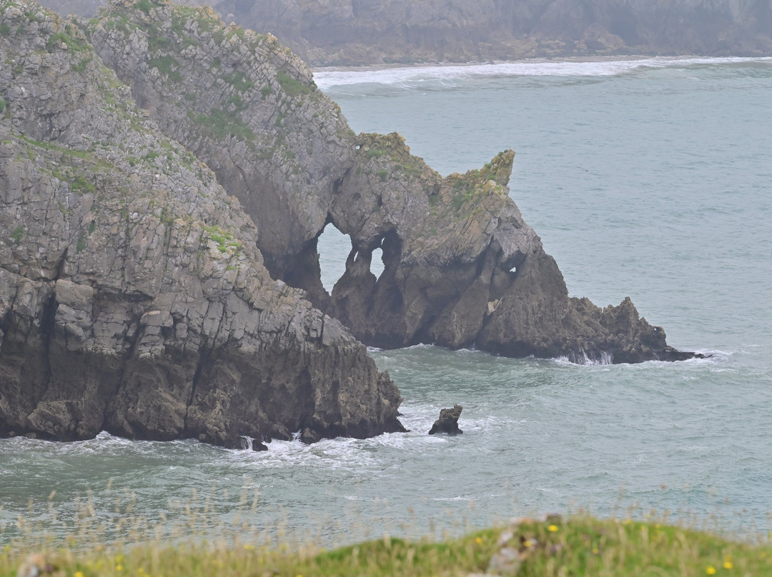 Stackpole Quay-Stackpole必去景点