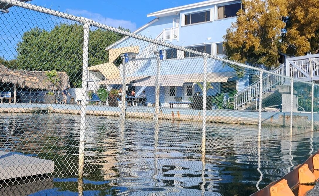Dolphin Life-拉哥岛必去景点