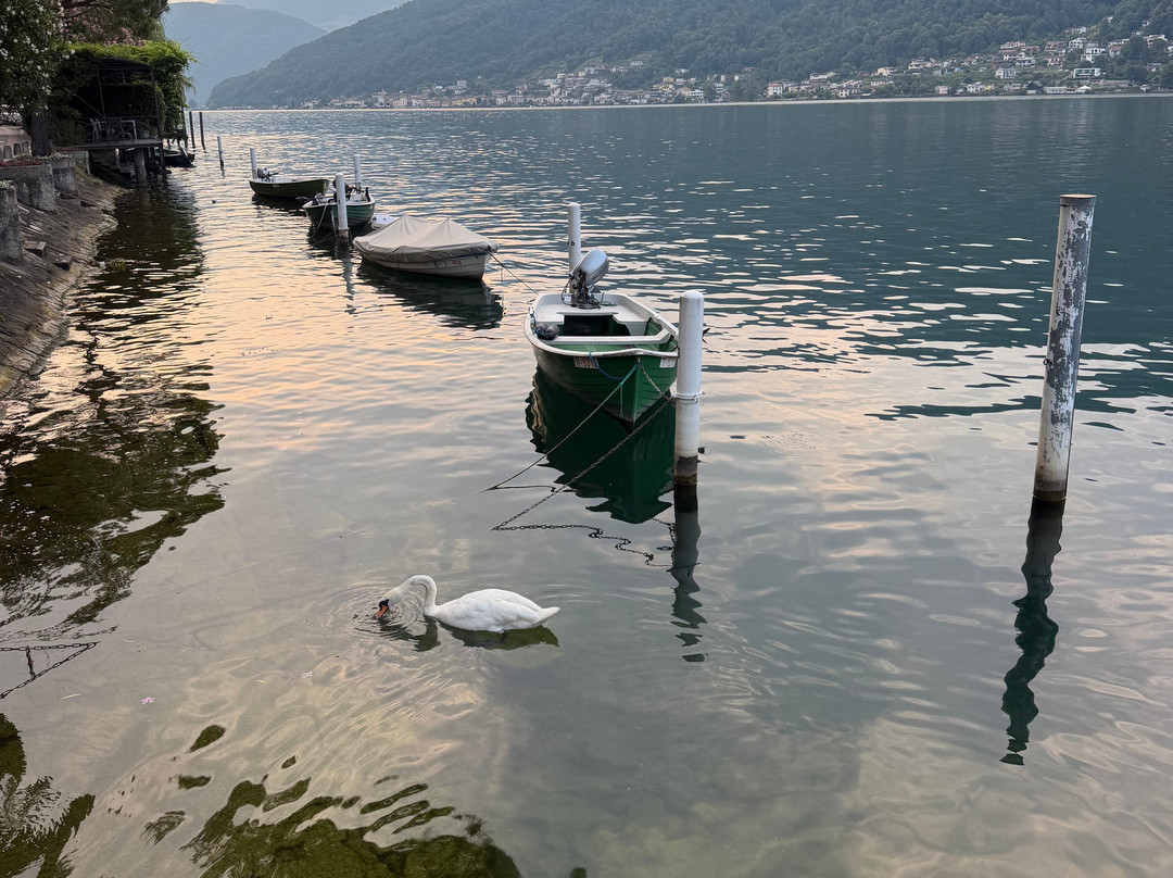 阿尔巴特洛住宿加早餐旅馆主图