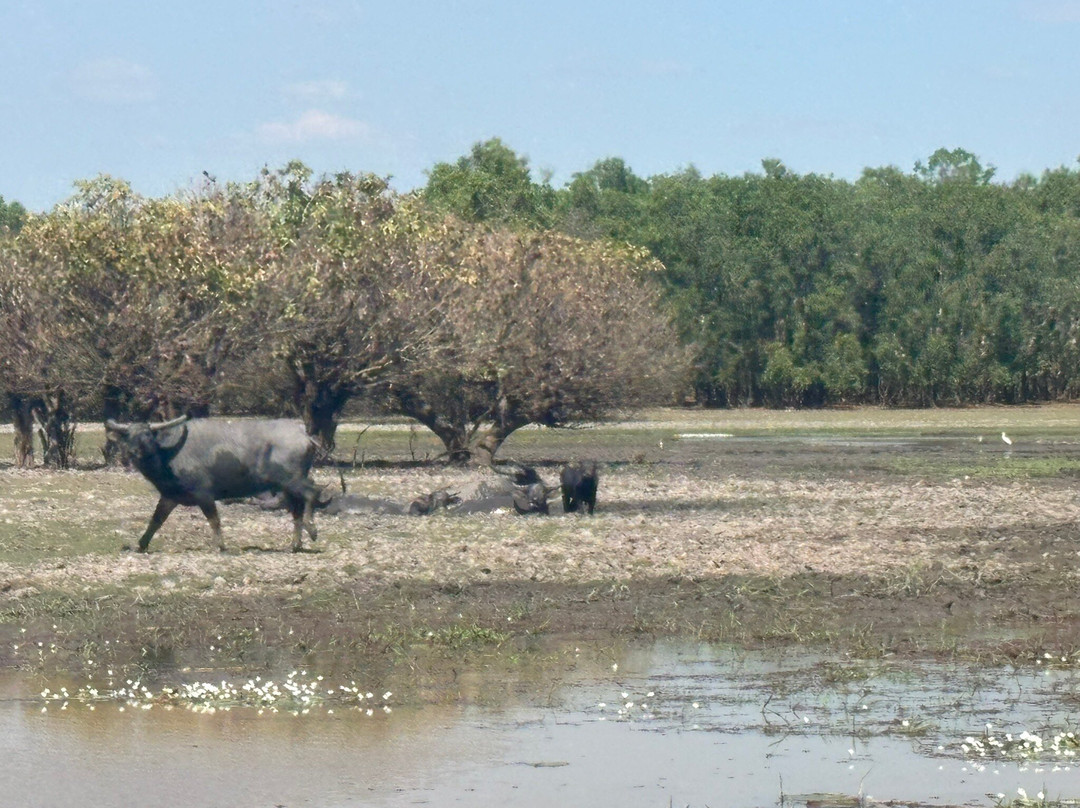 Wildlands Wetlands Safari Cruises-达尔文市必去景点