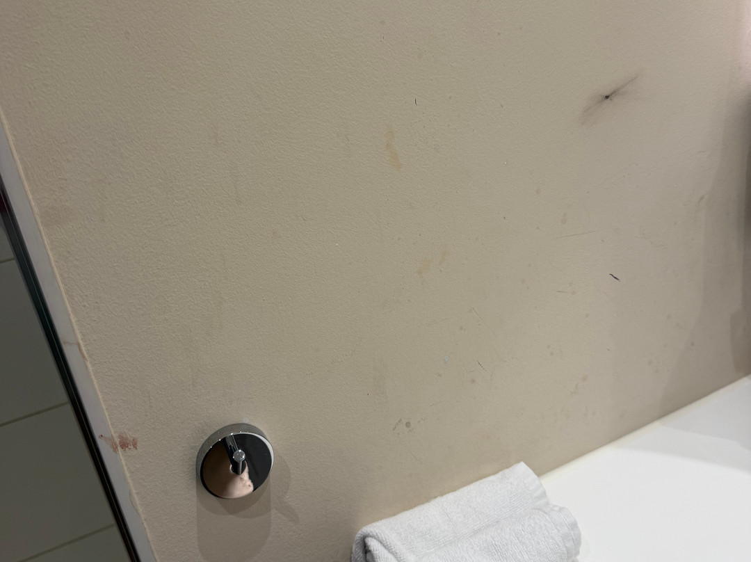 康斯坦茨希尔顿欢朋酒店主图