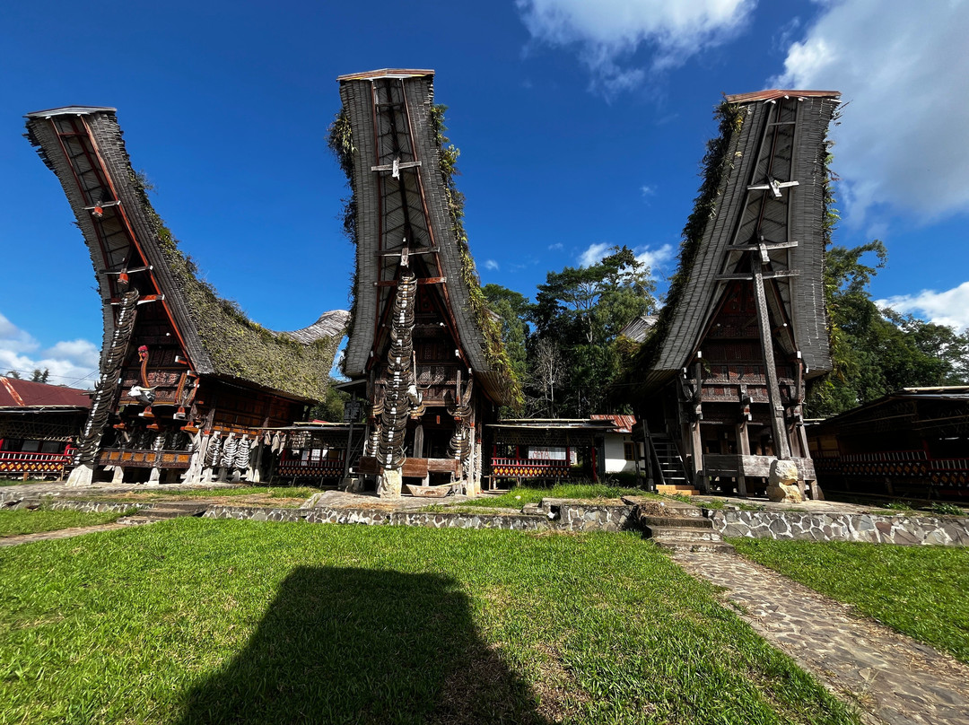 Local Guides - Tana Toraja-Tana Toraja必去景点