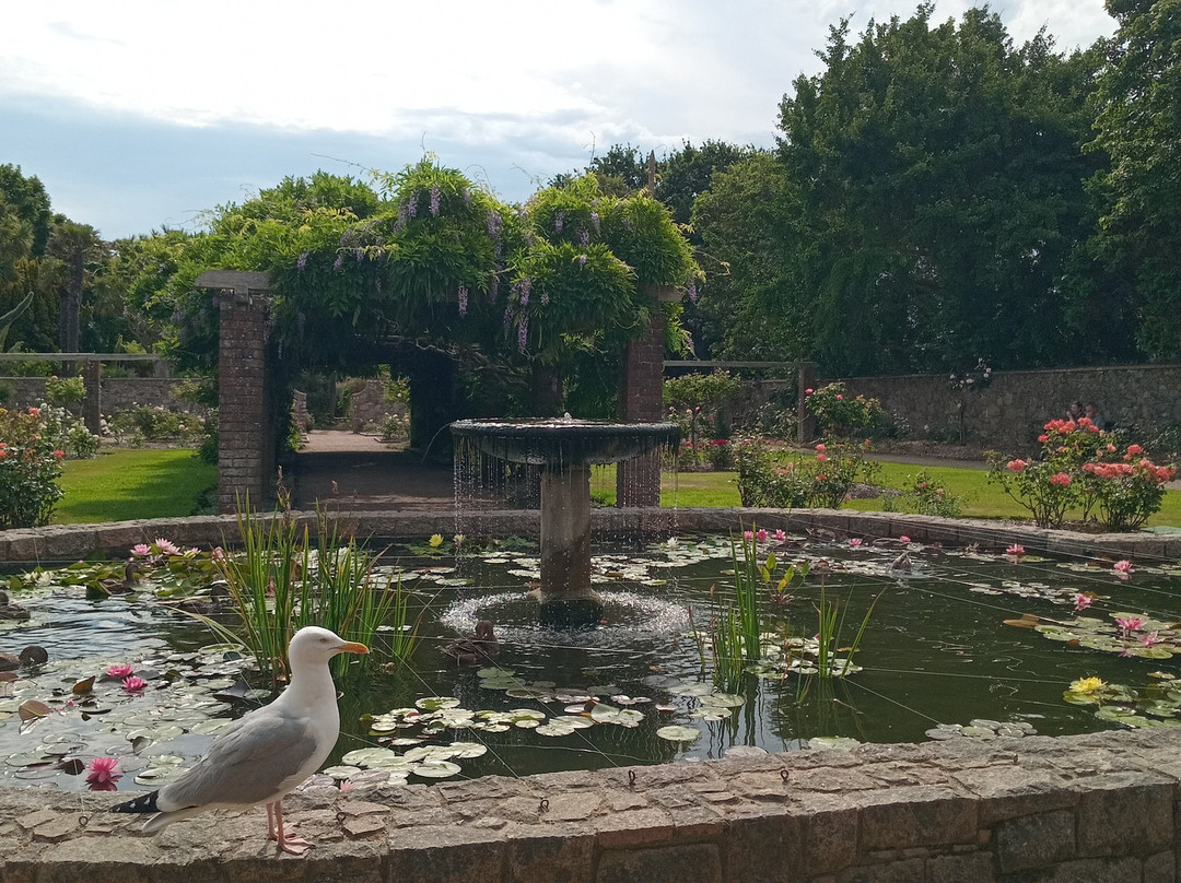 Howard Davis Park-St. Helier必去景点