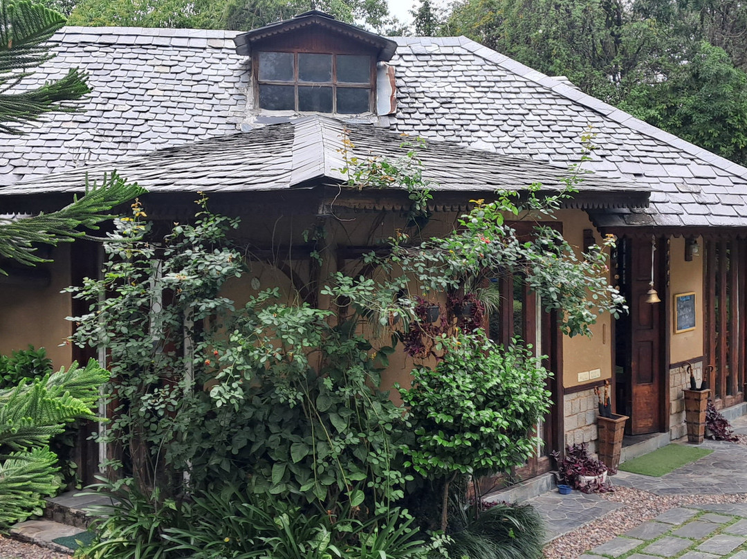 The Lodge at Wah, Palampur主图