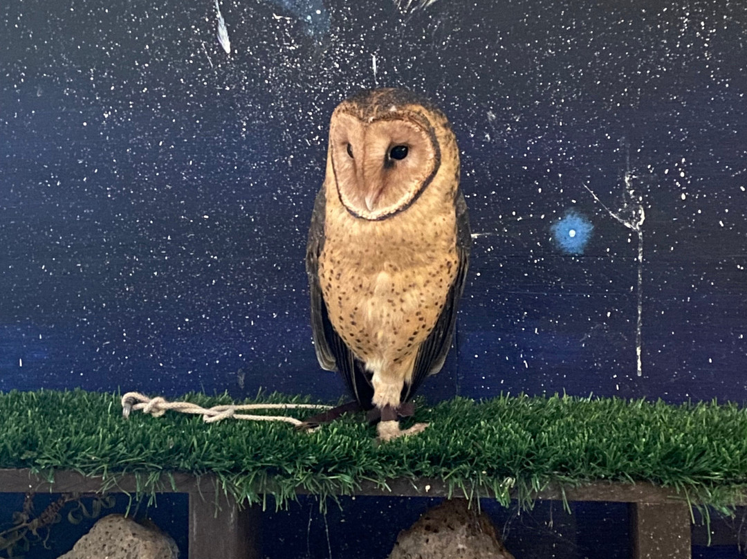 Raptor Refuge-Kettering必去景点