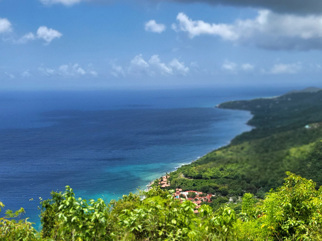 Carambola Zip Line-Frederiksted必去景点