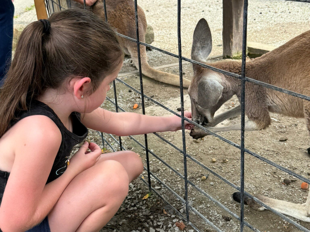 Living Treasures Animal Park-Jones Mills必去景点