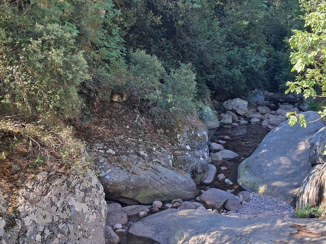 La Forêt De Bonifato-Calenzana必去景点