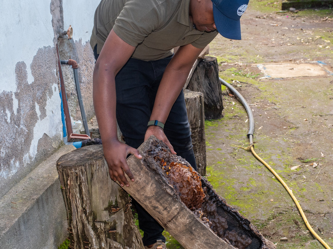 Mulala Cultural Tourism