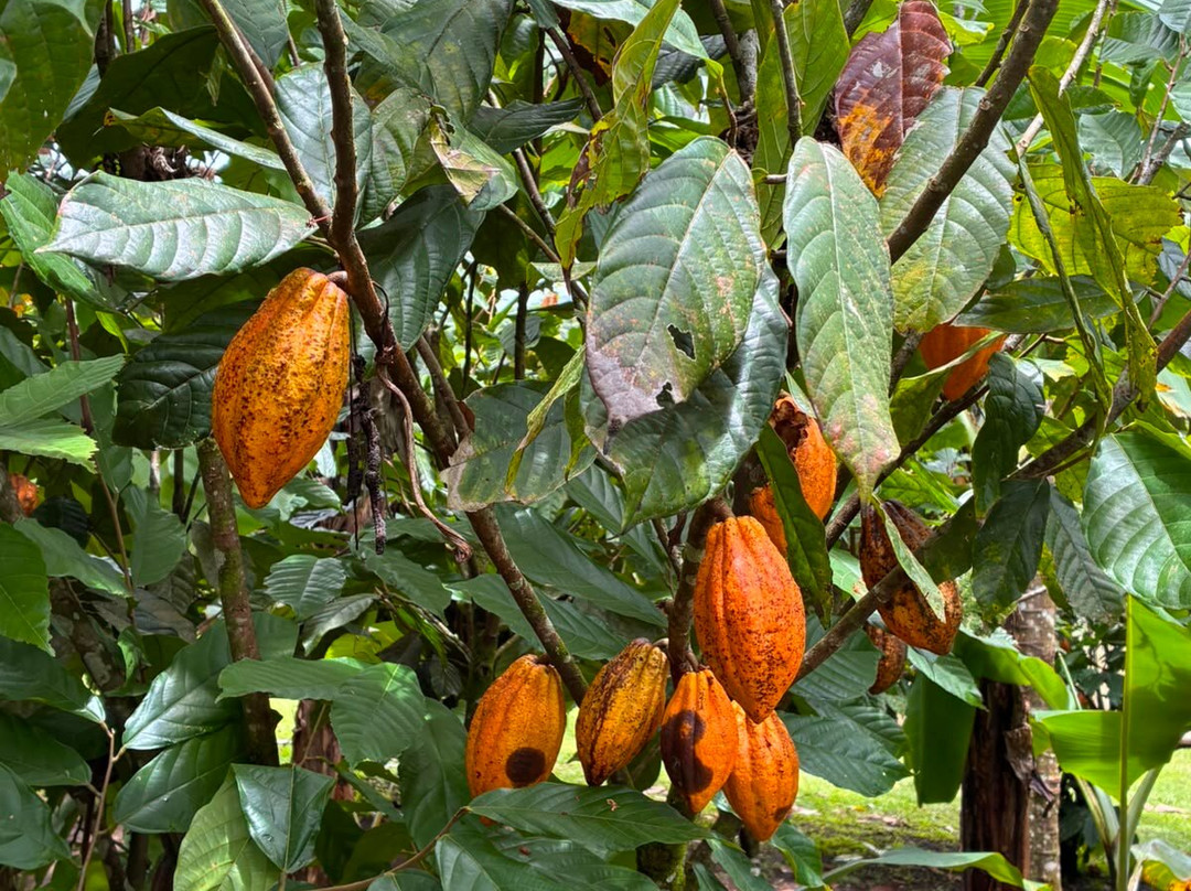 Issys Tours Costa Rica-萨迪纳尔必去景点