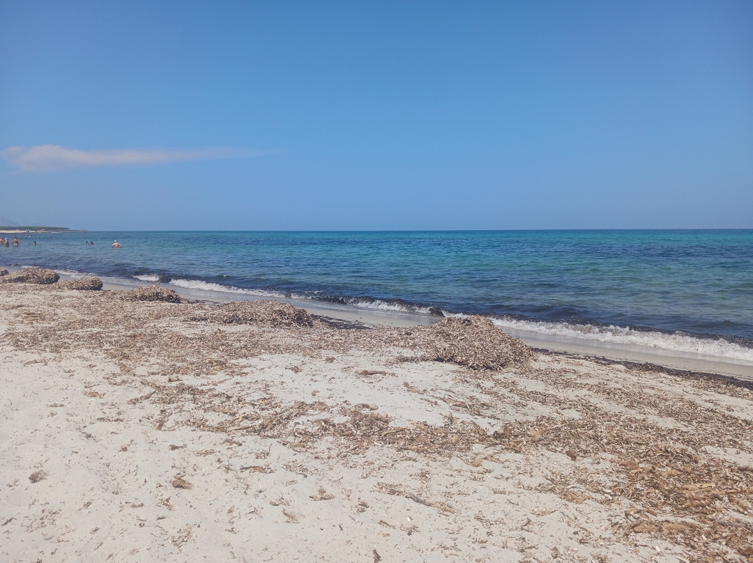 Spiaggia e Pineta Salamaghe-Budoni必去景点