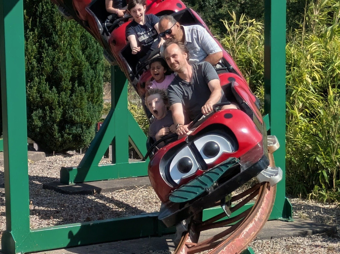 Lightwater Valley Family Adventure Park-North Stainley必去景点