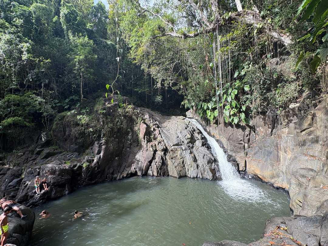 Cascade Le Saut de L'Acomat-Pointe-Noire必去景点
