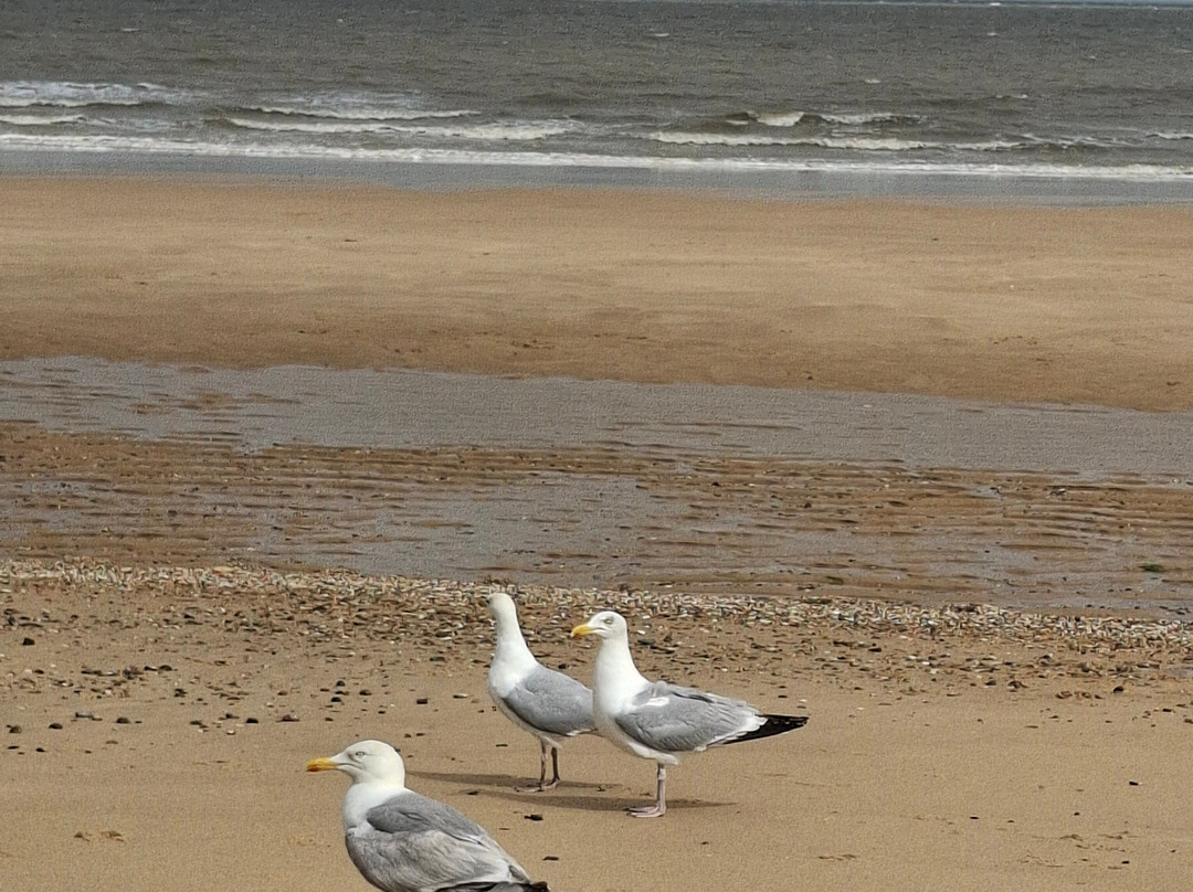 Walton On The Naze beach-Walton-on-the-Naze必去景点
