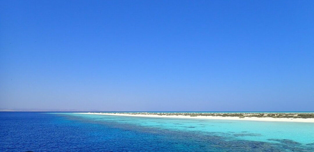 Wadi El Gemal National Park-马萨阿拉姆必去景点