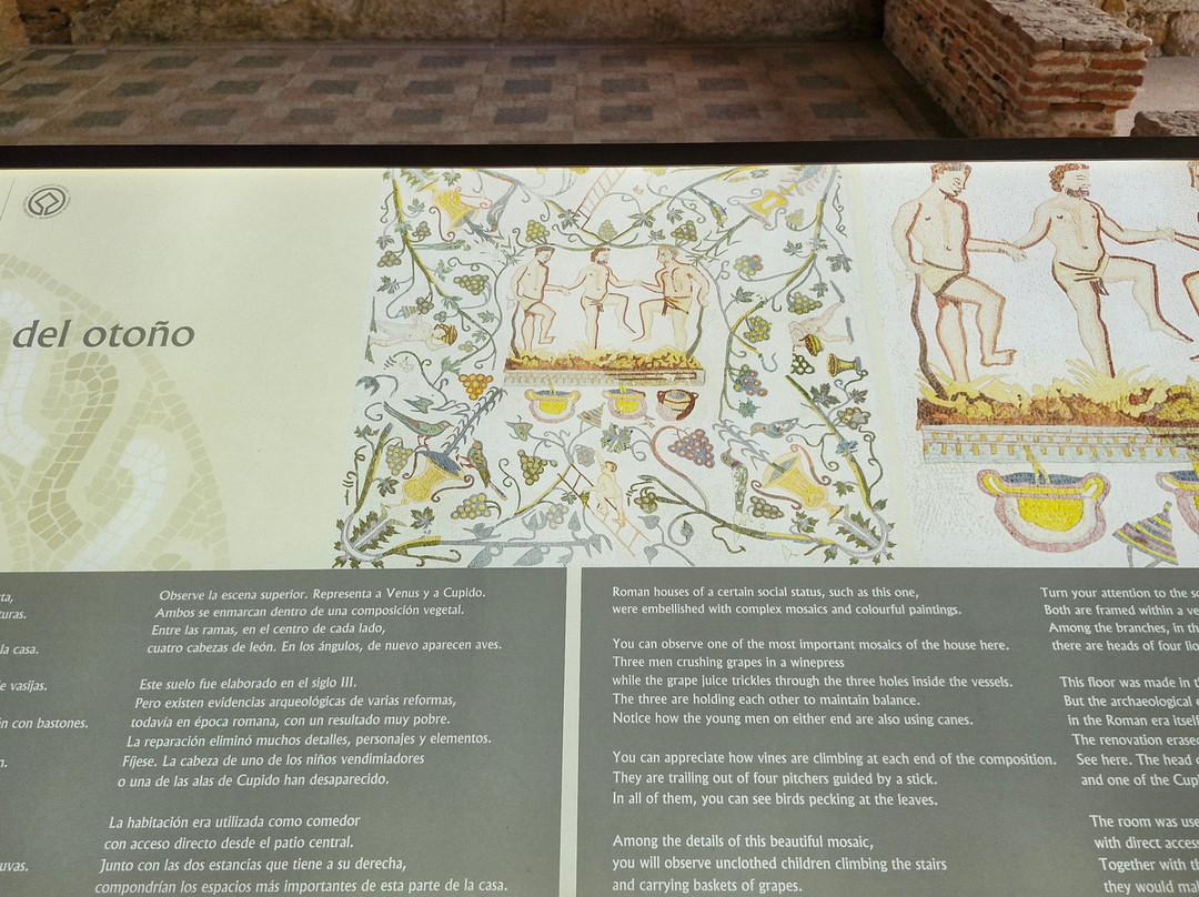 Casa Romana del Anfiteatro-梅里达必去景点