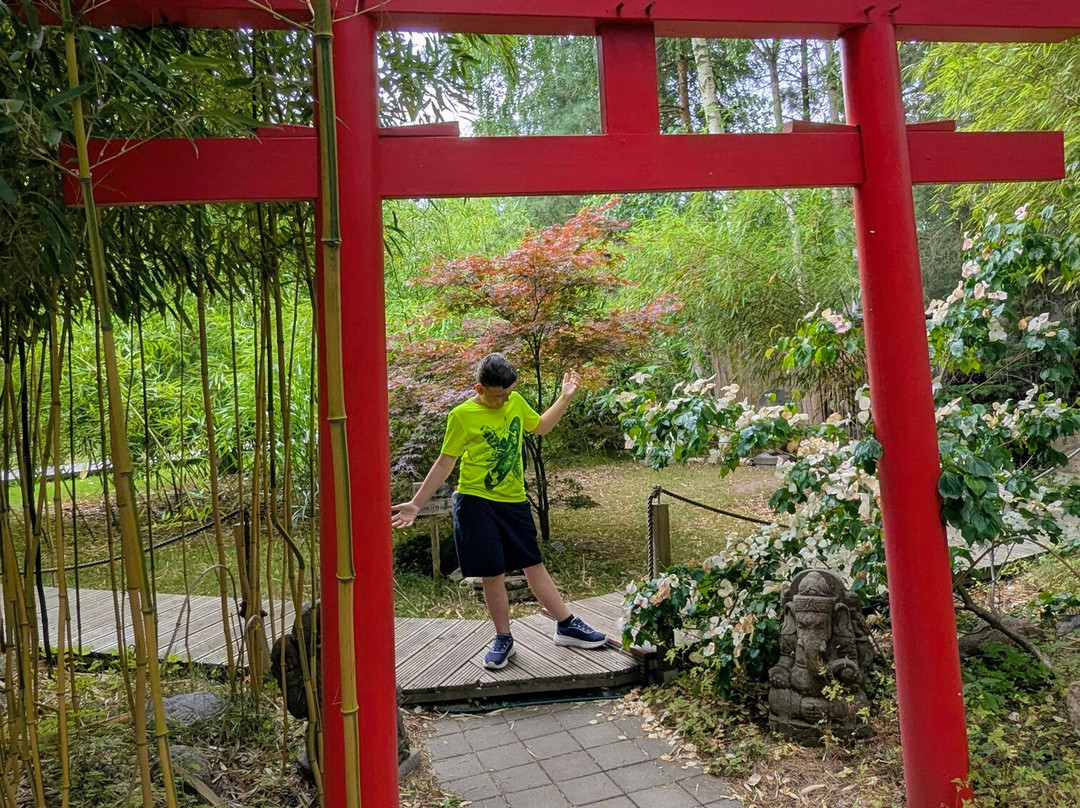 Exotik-Kunst-Garten mit Galerie Nagel-Lychen必去景点