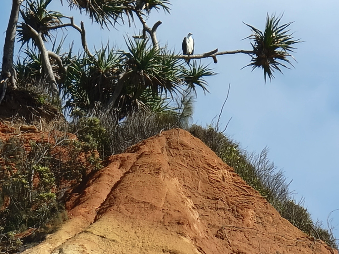 Great Beach Drive 4WD Tours-Noosa Heads必去景点