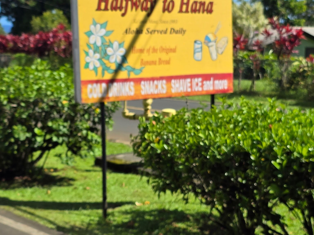 Halfway to Hana-哈纳必去景点