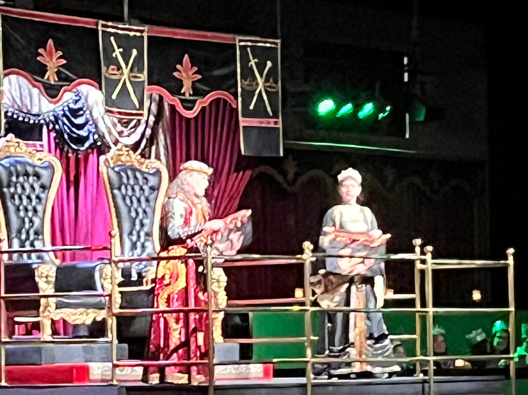 Medieval Times-绍姆堡必去景点