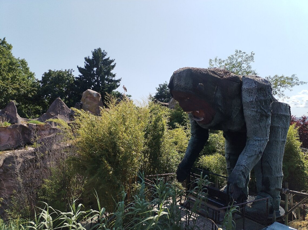 Cigoland - Parc des Cigognes et Attractions-Kintzheim必去景点