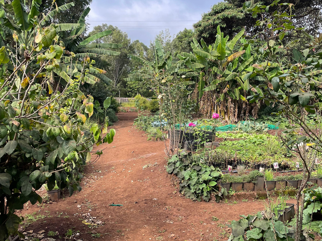 Simba Farm Lodge主图