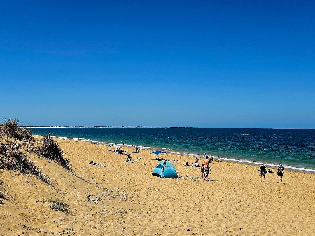 Saumonards Beach-Saint-Georges-d'Oleron必去景点
