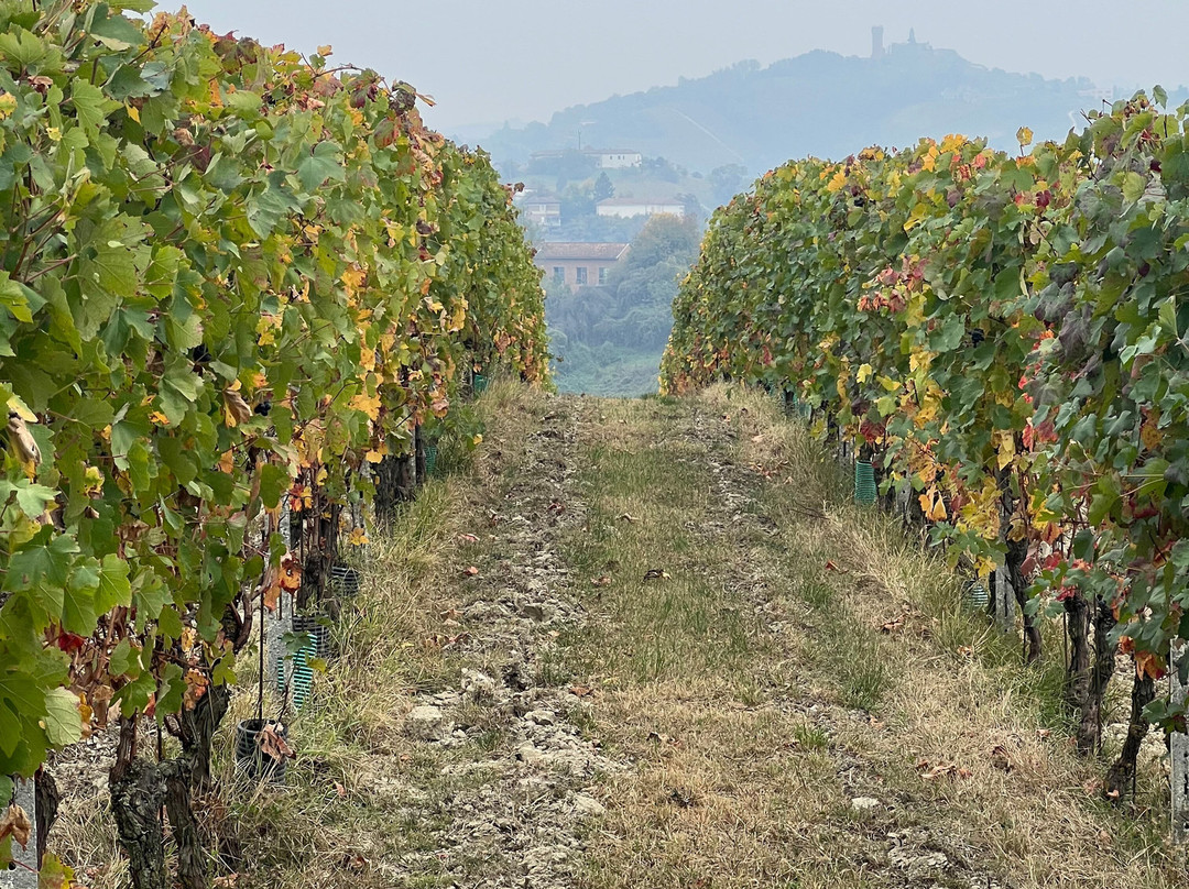 Azienda Agricola Baldi di Burio (Baldi Pierfranco)-Costigliole d'Asti必去景点