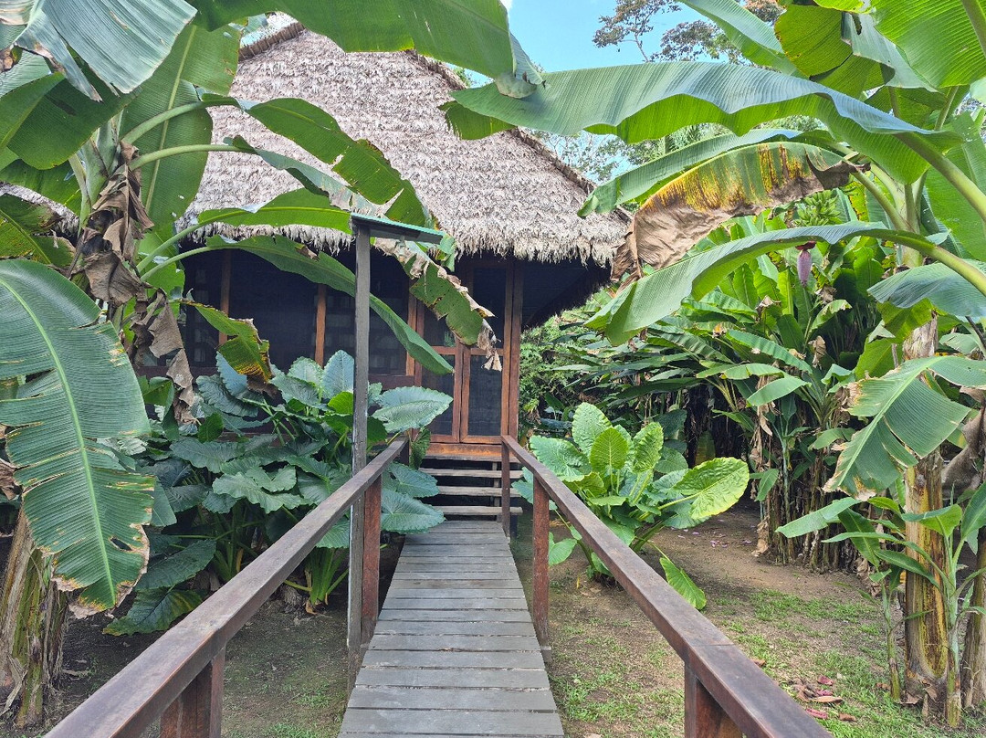 Finca Sachavacayoc lodge主图
