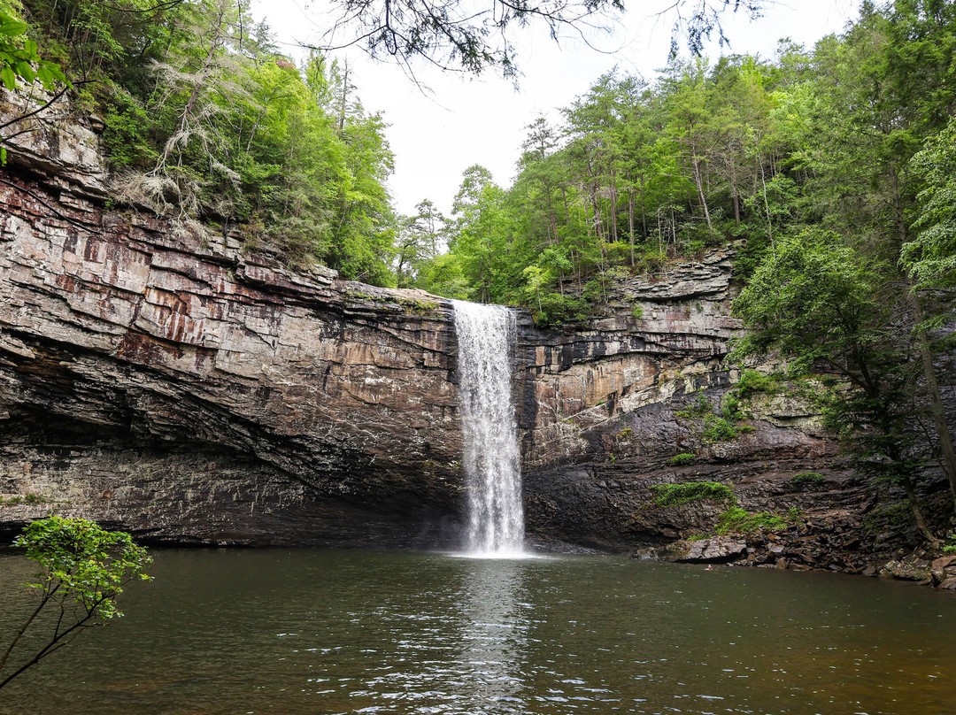 Experience Chattanooga Guided Hiking Tours-查塔努加必去景点