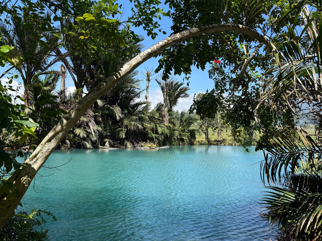 Matahatikita Tours-Minahasa必去景点