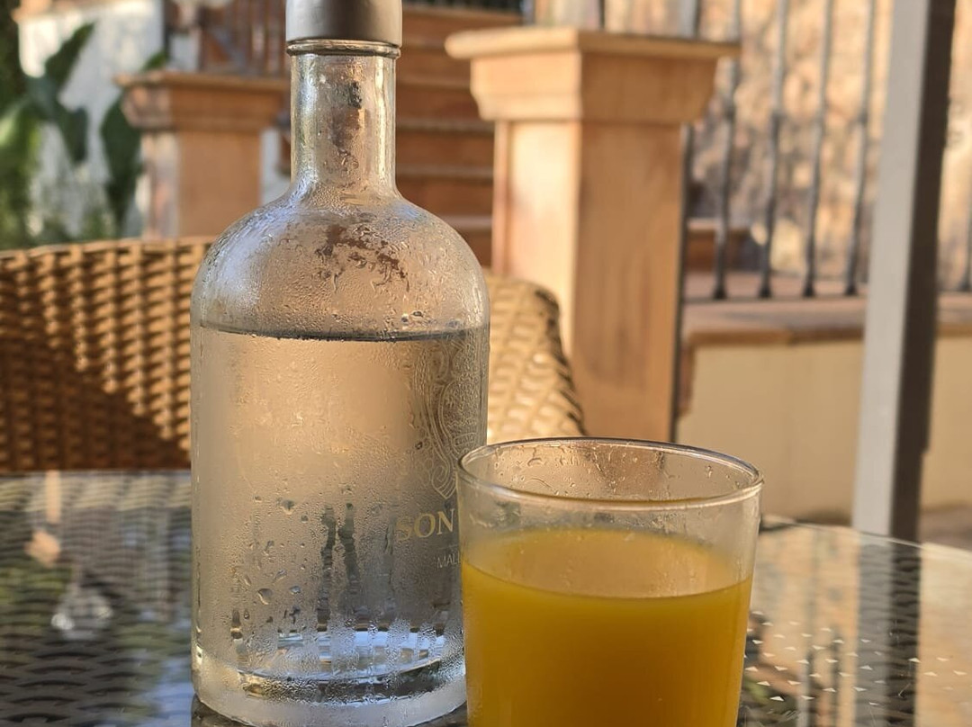 桑朱莉亚乡村旅馆水疗酒店主图