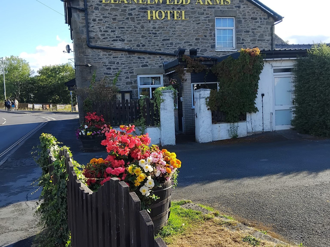 Llanelwedd阿姆斯酒店主图