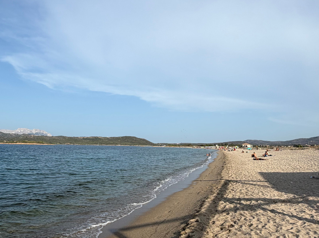 Spiaggia Saline-奥尔比亚必去景点
